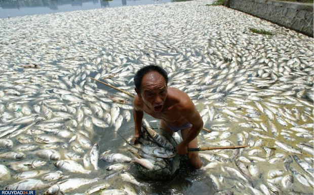 وحشتناک‌ترین تصاویر محیط زیست