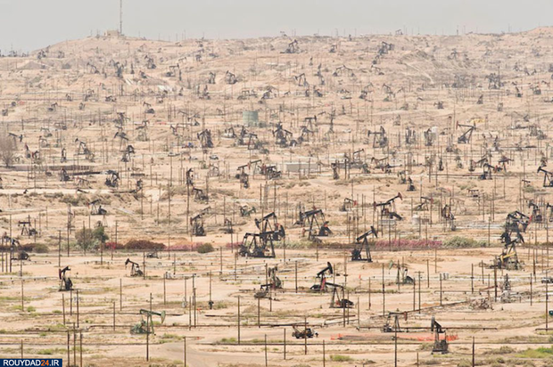 وحشتناک‌ترین تصاویر محیط زیست