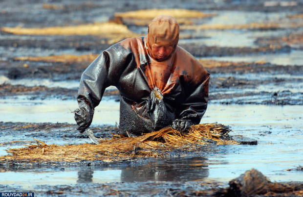 وحشتناک‌ترین تصاویر محیط زیست