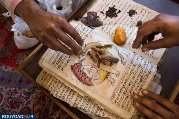 کمپ‌های مراقبت از فیل‌ها در هندوستان