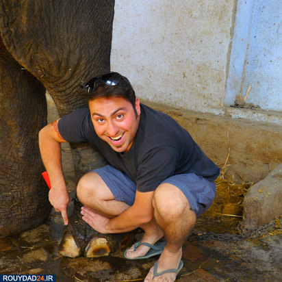 کمپ‌های مراقبت از فیل‌ها در هندوستان