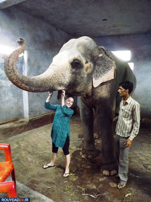 کمپ‌های مراقبت از فیل‌ها در هندوستان