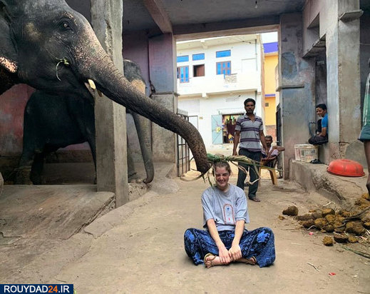 کمپ‌های مراقبت از فیل‌ها در هندوستان