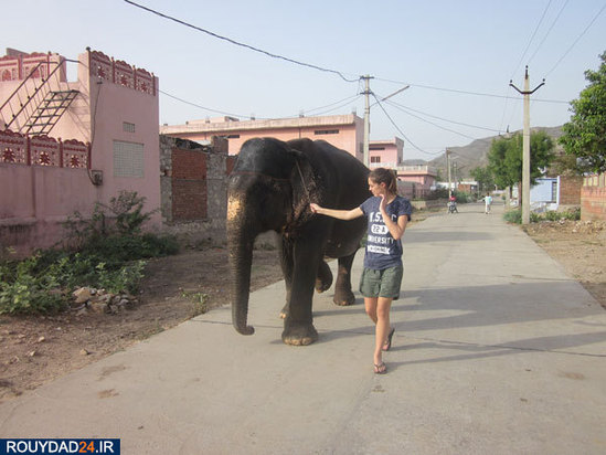 کمپ‌های مراقبت از فیل‌ها در هندوستان