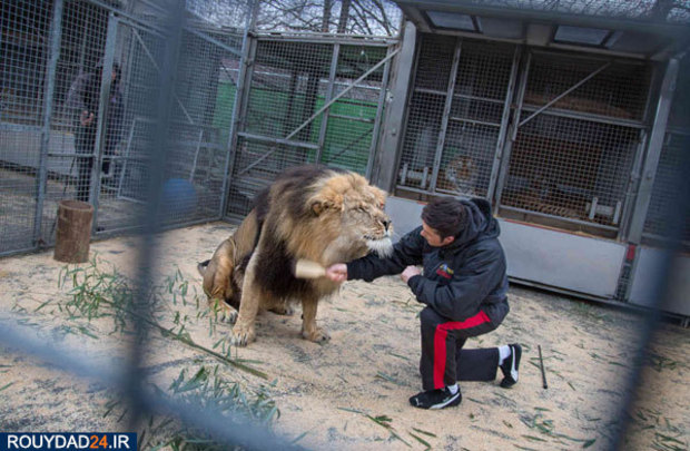 در قطار سیرک چه می‌گذرد؟