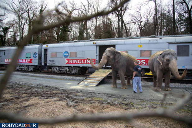 در قطار سیرک چه می‌گذرد؟