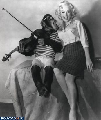 مریلین مونرو