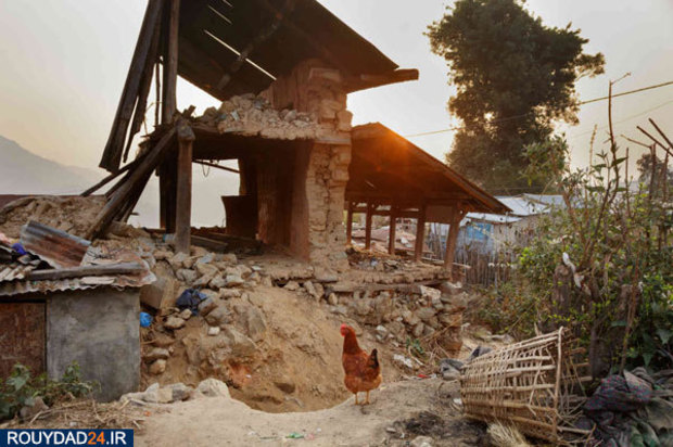 ازدواج کودکان نابالغ