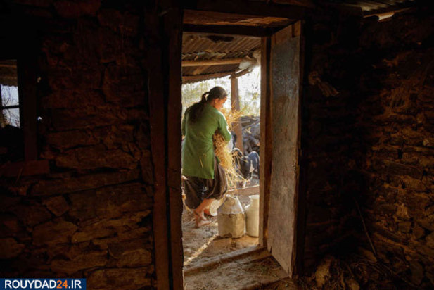 ازدواج کودکان نابالغ