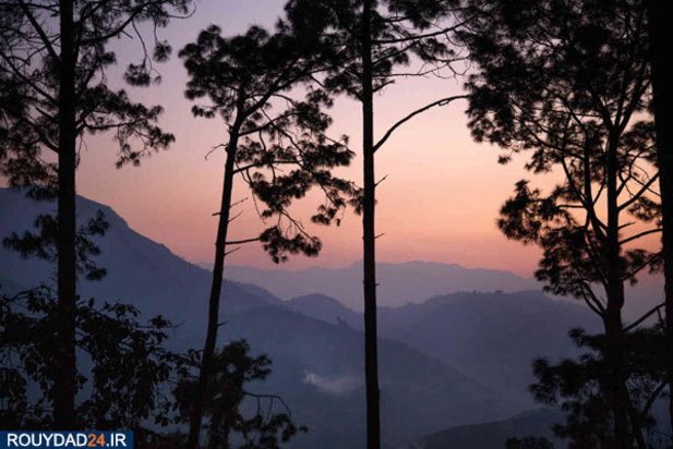 ازدواج کودکان نابالغ