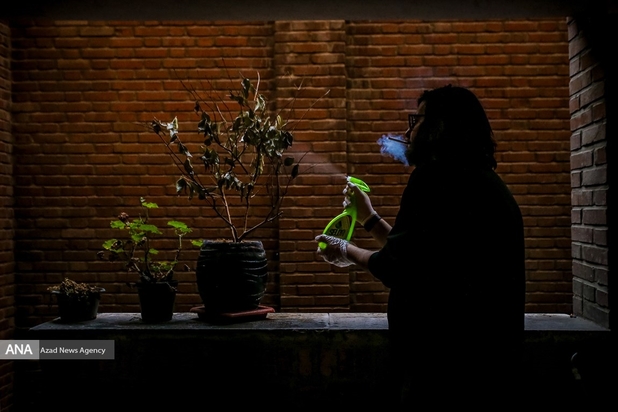 قرنطینه خانگی