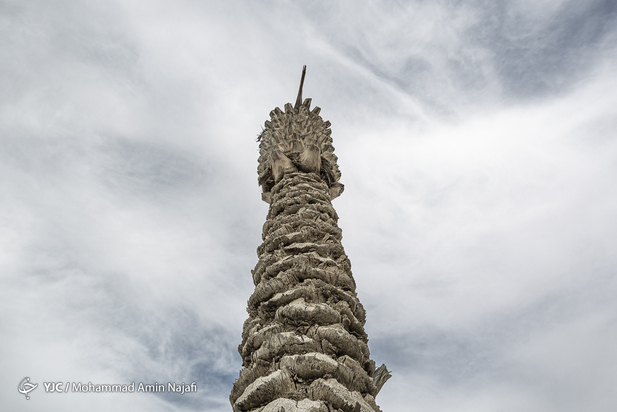 نخل‌های بی‌سر کرمان