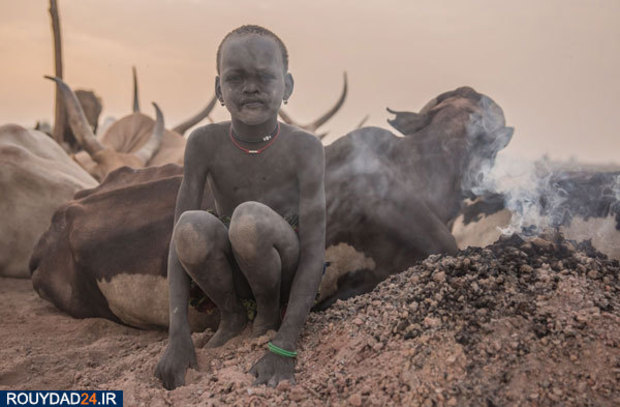 گاوبازان قبیله دینکا