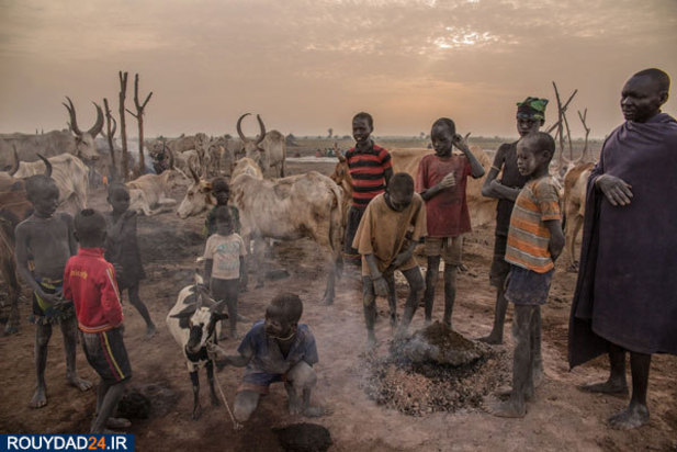 گاوبازان قبیله دینکا