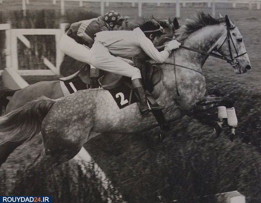 عکاس ورزشی گری کرانهام