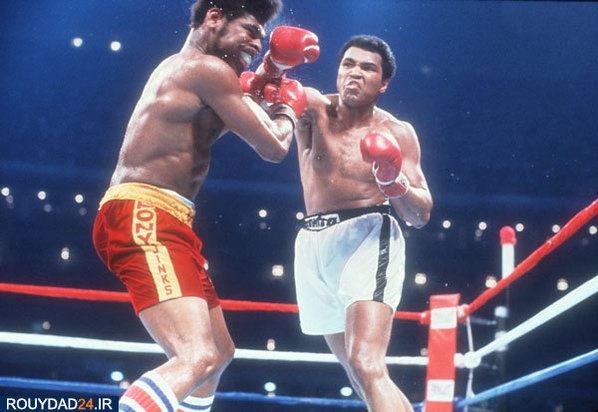 محمدعلی کلی