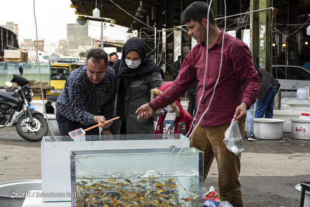 سبزه و ماهی در روزهای کرونایی