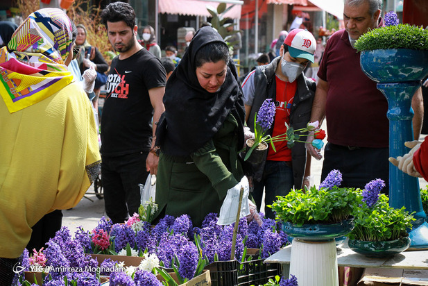 سبزه و ماهی در روزهای کرونایی