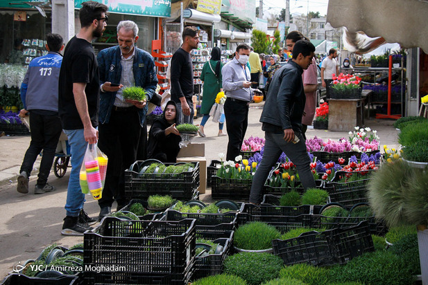 سبزه و ماهی در روزهای کرونایی