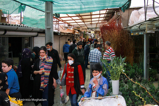 سبزه و ماهی در روزهای کرونایی