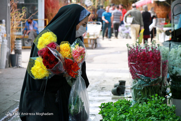 سبزه و ماهی در روزهای کرونایی