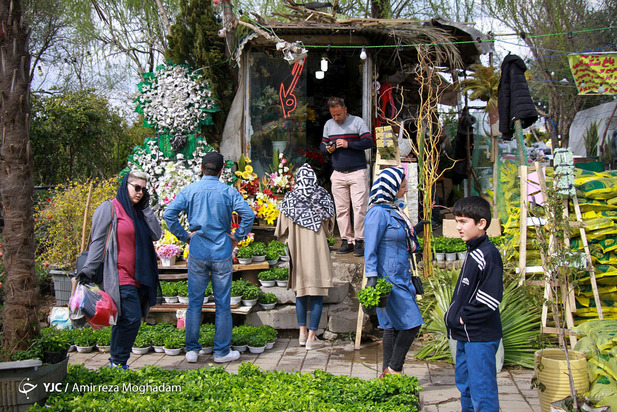 سبزه و ماهی در روزهای کرونایی