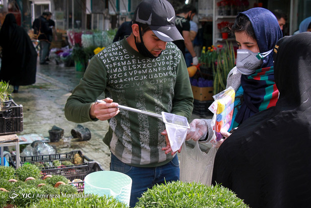 سبزه و ماهی در روزهای کرونایی