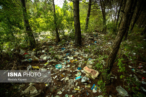 صد عکس برتر سال 98