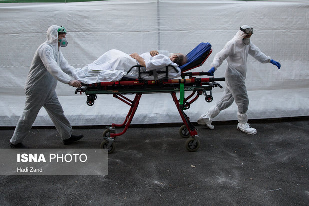 صد عکس برتر سال 98