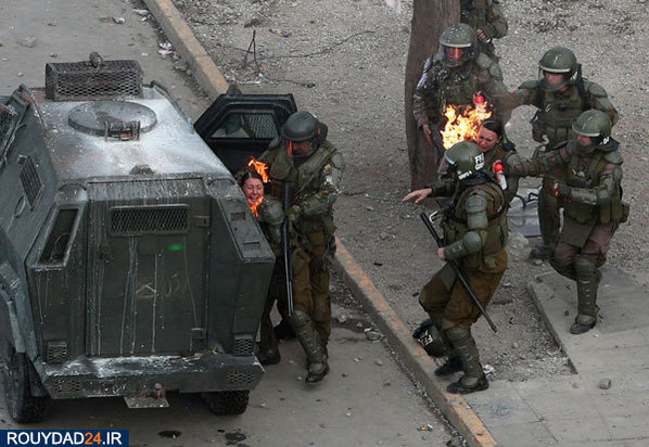 برترین عکس‌های 2019