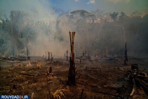 برترین عکس‌های 2019