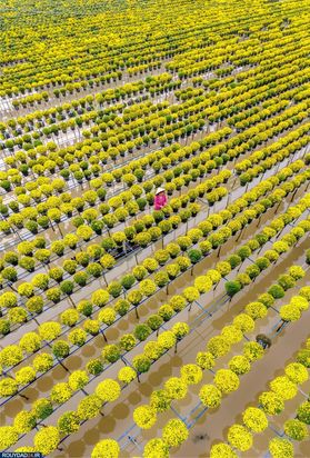 مسابقه عکاسی آب