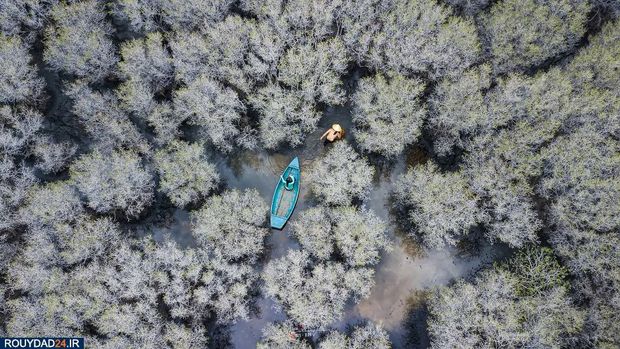 مسابقه عکاسی آب