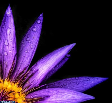 مسابقه عکاسی آب