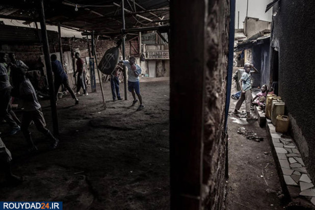 برندگان عکاسی ورلدپرس 2019