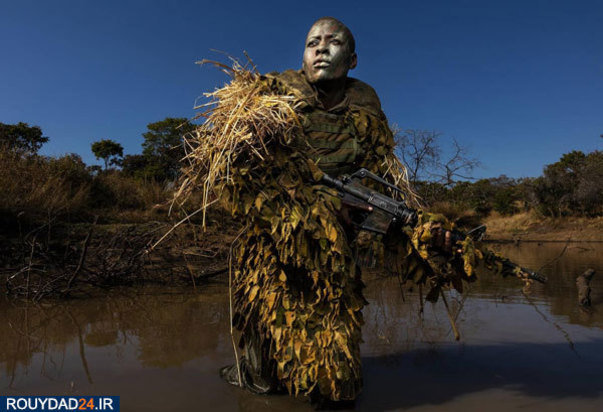 برندگان عکاسی ورلدپرس 2019