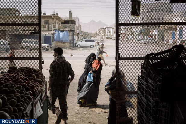 برندگان عکاسی ورلدپرس 2019