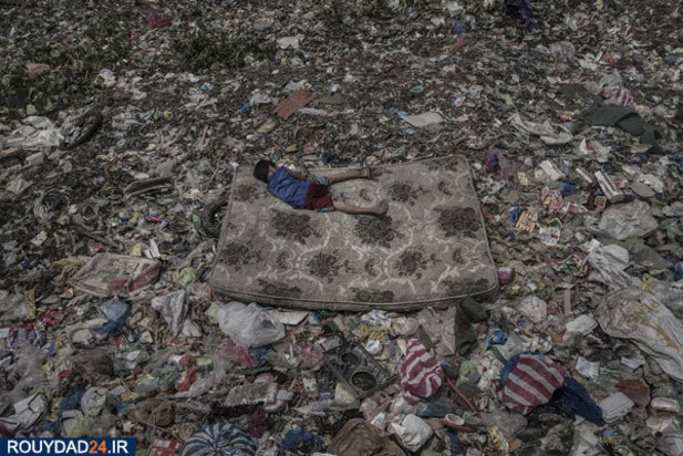 برندگان عکاسی ورلدپرس 2019