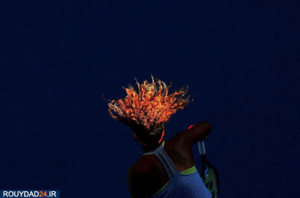 برندگان عکاسی ورلدپرس 2019