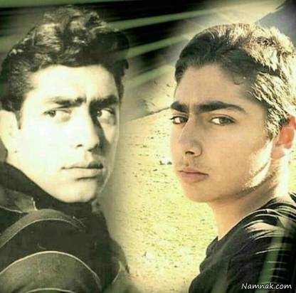 خانواده فردین