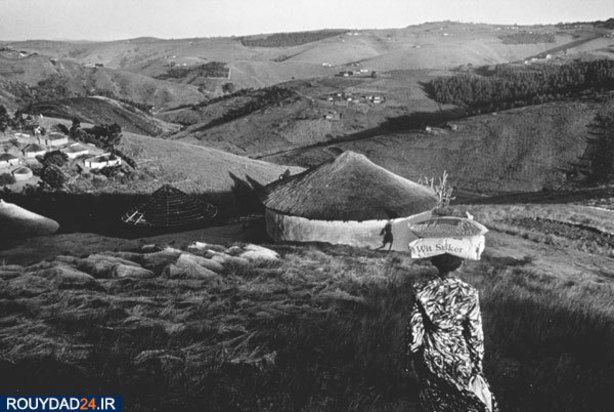 روز جهانی سلامت