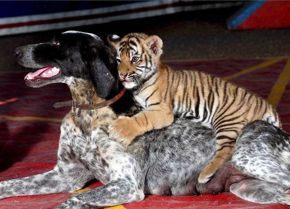 تصاویر دیدنی