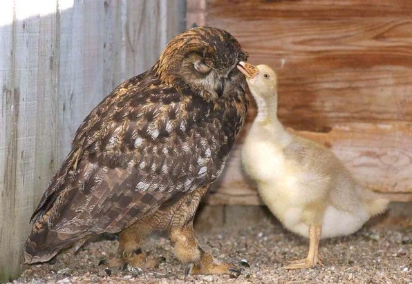 تصاویر دیدنی