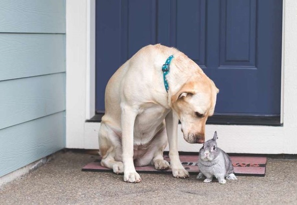 تصاویر دیدنی