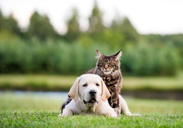 تصاویر دیدنی