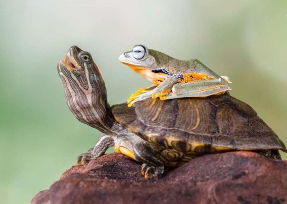 تصاویر دیدنی