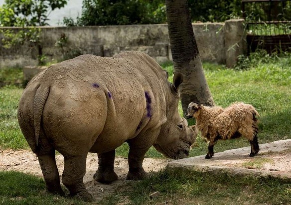 تصاویر دیدنی
