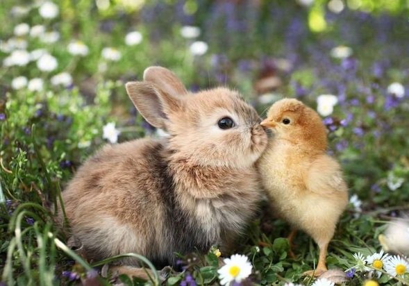 تصاویر دیدنی