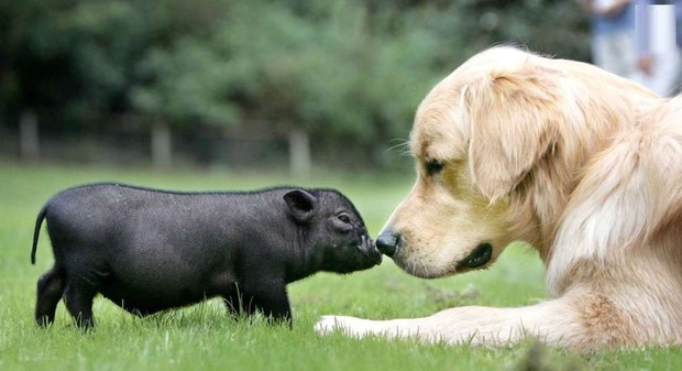 تصاویر دیدنی