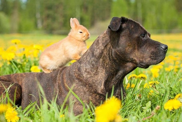 تصاویر دیدنی